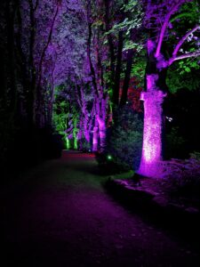 IMG_4989